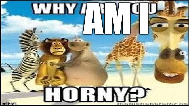why are you horny | AM I | image tagged in why are you horny | made w/ Imgflip meme maker