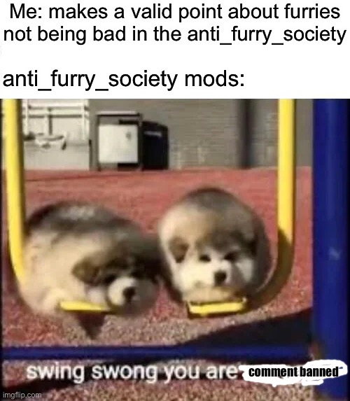 SWING SWONG YOU ARE WRONG | Me: makes a valid point about furries not being bad in the anti_furry_society; anti_furry_society mods:; comment banned | image tagged in swing swong you are wrong | made w/ Imgflip meme maker
