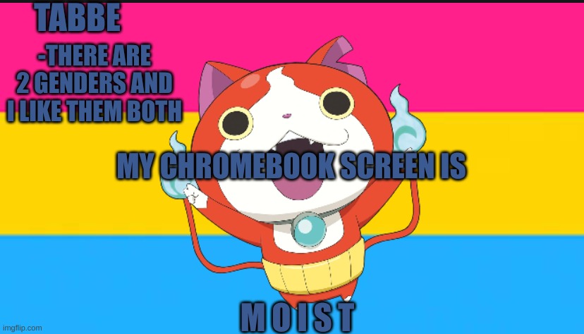 not wet just m o i s t | MY CHROMEBOOK SCREEN IS; M O I S T | image tagged in pan cat temp thingy | made w/ Imgflip meme maker