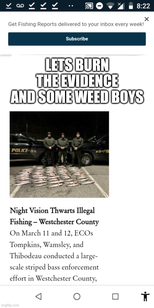 illegal fish go back to mexico | LETS BURN THE EVIDENCE AND SOME WEED BOYS | image tagged in land of the free,forcing,im a lawyer,law enforcement learns the law,school,of fish | made w/ Imgflip meme maker