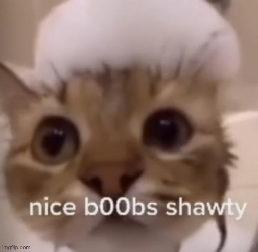 nice boobs | image tagged in nice boobs | made w/ Imgflip meme maker