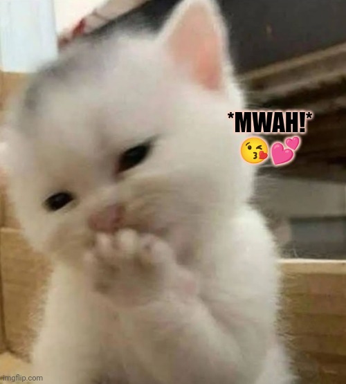 tee hee kitten | *MWAH!*
😘💕 | image tagged in tee hee kitten,omg kitten,kitten blowing kisses,thinking kitten,mwah kitten | made w/ Imgflip meme maker