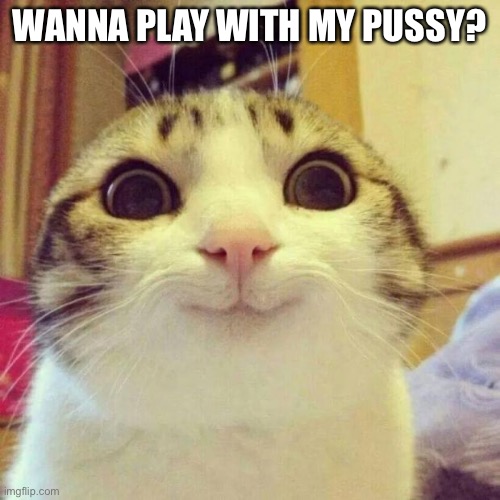 Smiling Cat Meme | WANNA PLAY WITH MY PUSSY? | image tagged in memes,smiling cat | made w/ Imgflip meme maker