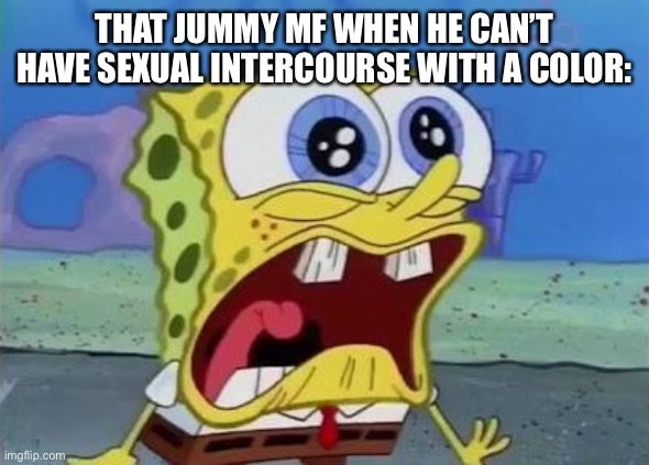 Spongebob crying/screaming | THAT JUMMY MF WHEN HE CAN’T HAVE SEXUAL INTERCOURSE WITH A COLOR: | image tagged in spongebob crying/screaming | made w/ Imgflip meme maker