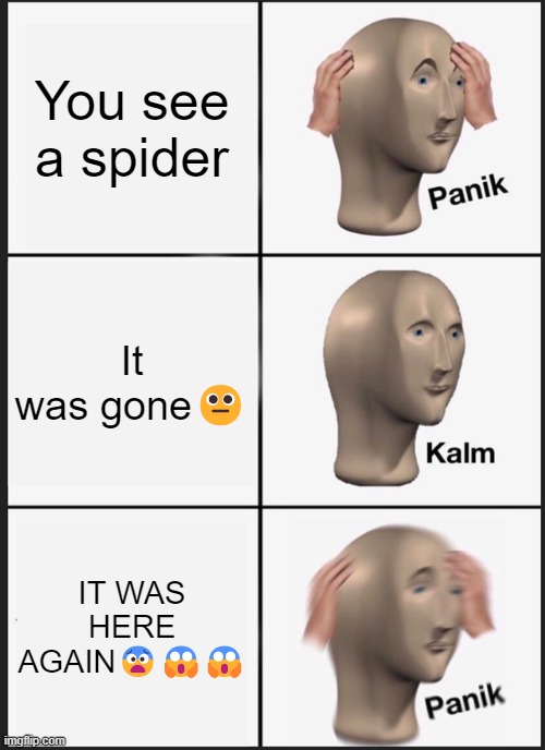 POV: | You see a spider; It was gone😐; IT WAS HERE AGAIN😨😱😱 | image tagged in memes,panik kalm panik | made w/ Imgflip meme maker
