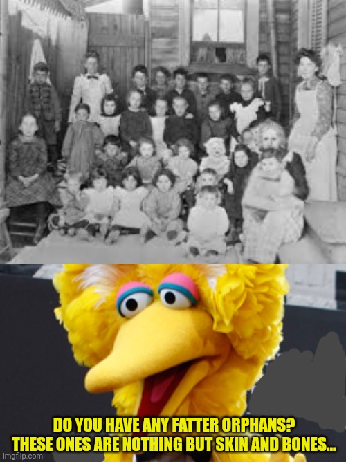 Lean livestock | DO YOU HAVE ANY FATTER ORPHANS? THESE ONES ARE NOTHING BUT SKIN AND BONES... | image tagged in memes,big bird,lean,livestock,orphanage,fresh meat | made w/ Imgflip meme maker