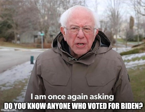 Bidenbros | DO YOU KNOW ANYONE WHO VOTED FOR BIDEN? | image tagged in bernie - i am once again asking for you | made w/ Imgflip meme maker