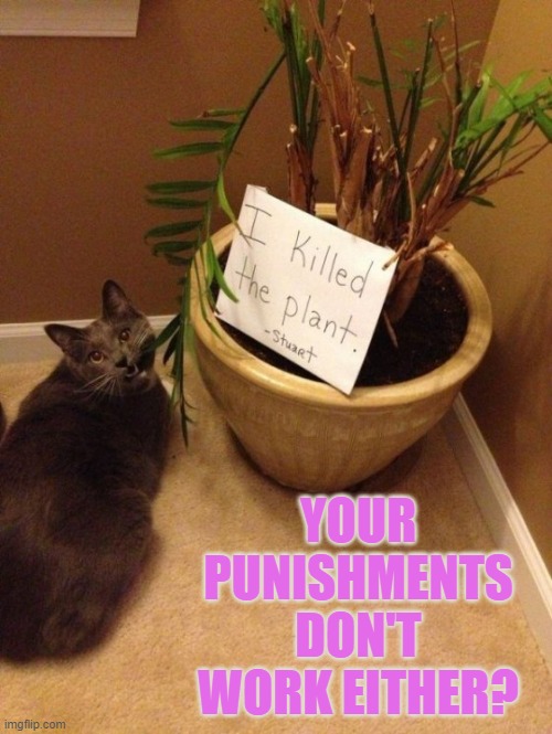 YOUR PUNISHMENTS DON'T WORK EITHER? | made w/ Imgflip meme maker