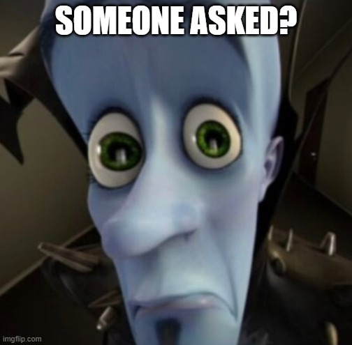 Someone asked? | SOMEONE ASKED? | image tagged in no bitches | made w/ Imgflip meme maker
