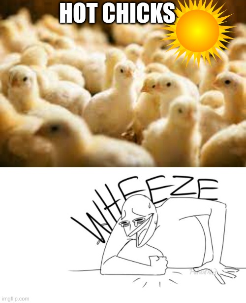 initiate wheeze | HOT CHICKS | image tagged in wheeze | made w/ Imgflip meme maker