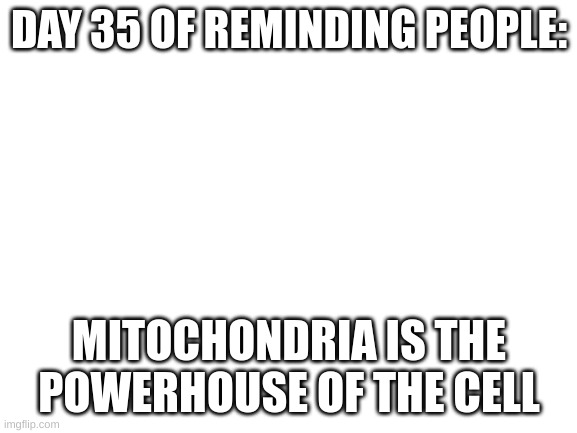 day 35 | DAY 35 OF REMINDING PEOPLE:; MITOCHONDRIA IS THE POWERHOUSE OF THE CELL | image tagged in blank white template | made w/ Imgflip meme maker