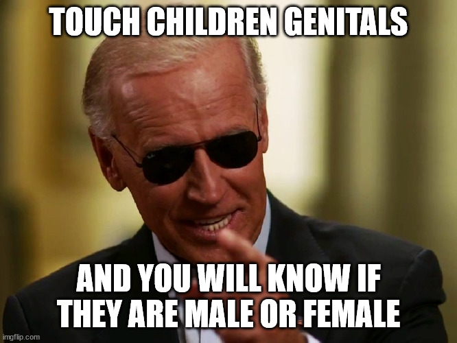 Cool Joe Biden | TOUCH CHILDREN GENITALS AND YOU WILL KNOW IF THEY ARE MALE OR FEMALE | image tagged in cool joe biden | made w/ Imgflip meme maker