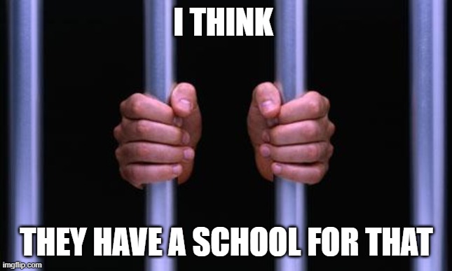 Prison Bars | I THINK THEY HAVE A SCHOOL FOR THAT | image tagged in prison bars | made w/ Imgflip meme maker