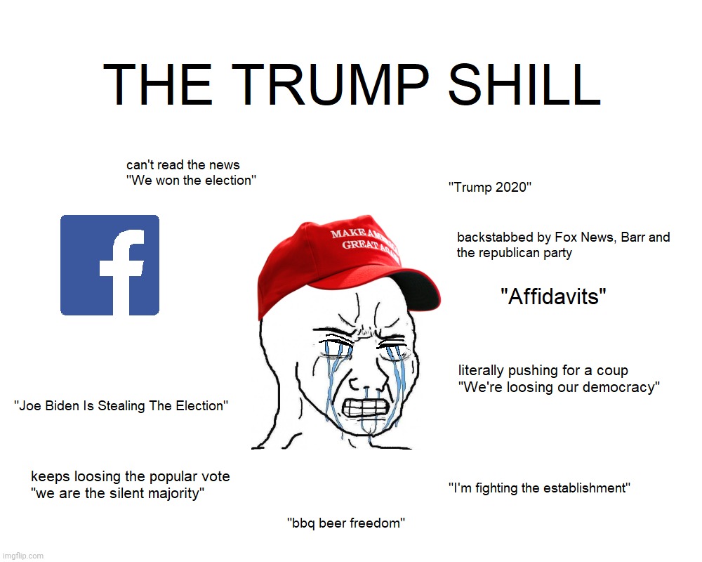 The trump shill | image tagged in the trump shill | made w/ Imgflip meme maker