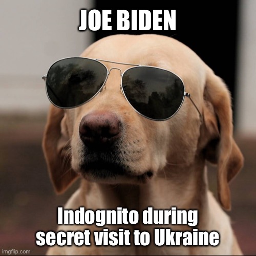 Joe Biden | JOE BIDEN; Indognito during secret visit to Ukraine | image tagged in undercover,indognito,biden,ukraine,sunglasses,dog | made w/ Imgflip meme maker