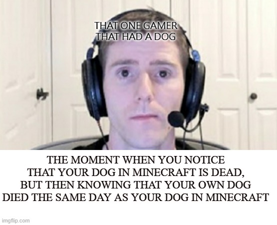 dead inside youtuber | THAT ONE GAMER
THAT HAD A DOG; THE MOMENT WHEN YOU NOTICE
THAT YOUR DOG IN MINECRAFT IS DEAD, BUT THEN KNOWING THAT YOUR OWN DOG DIED THE SAME DAY AS YOUR DOG IN MINECRAFT | image tagged in dead inside youtuber | made w/ Imgflip meme maker