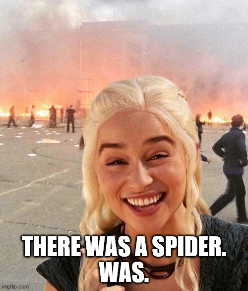 Disaster for a spider | THERE WAS A SPIDER.
WAS. | image tagged in disaster smoker girl | made w/ Imgflip meme maker