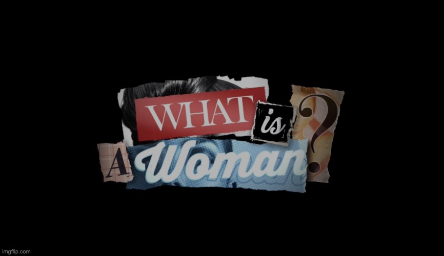 Check out Matt Walsh's upcoming documentary "What is a Woman?": www.whatisawoman.com | made w/ Imgflip meme maker