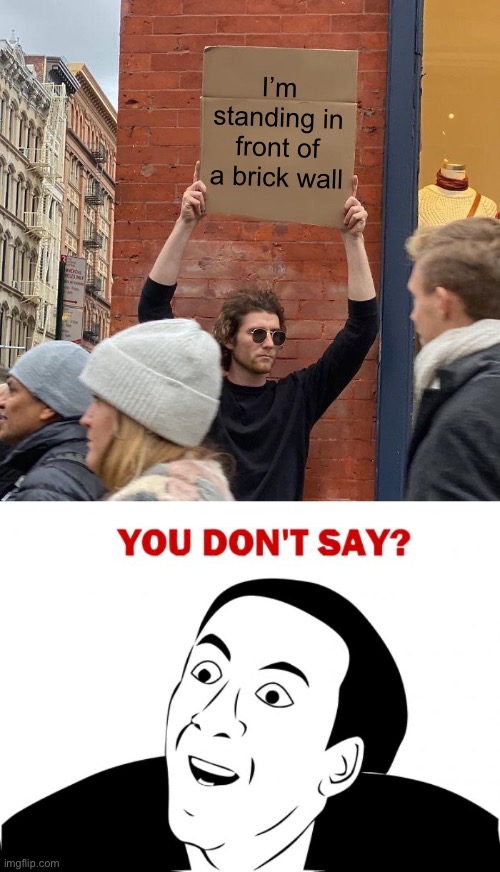 ∞ IQ | I’m standing in front of a brick wall | image tagged in memes,guy holding cardboard sign,you don't say | made w/ Imgflip meme maker