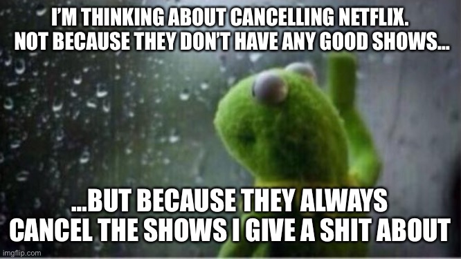 Kermit rain | I’M THINKING ABOUT CANCELLING NETFLIX.  NOT BECAUSE THEY DON’T HAVE ANY GOOD SHOWS…; …BUT BECAUSE THEY ALWAYS CANCEL THE SHOWS I GIVE A SHIT ABOUT | image tagged in kermit rain,memes | made w/ Imgflip meme maker