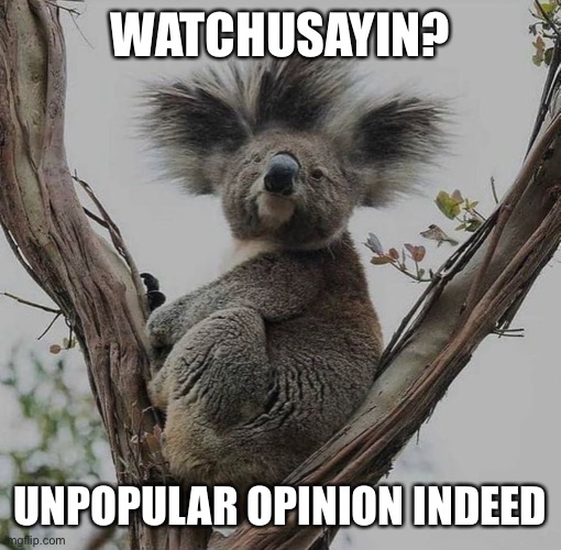 Koala opinion | WATCHUSAYIN? UNPOPULAR OPINION INDEED | image tagged in unpopular opinion | made w/ Imgflip meme maker