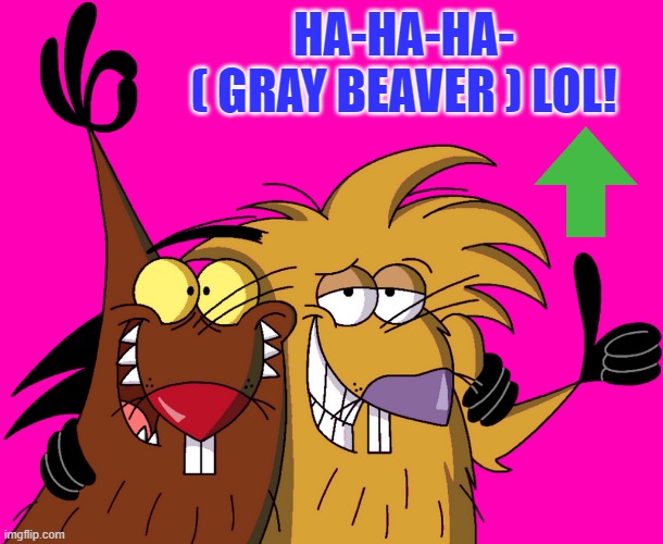 Beavers | HA-HA-HA-
( GRAY BEAVER ) LOL! | image tagged in beavers | made w/ Imgflip meme maker