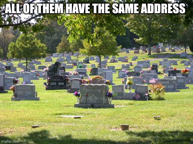 cemetery | ALL OF THEM HAVE THE SAME ADDRESS | image tagged in cemetery | made w/ Imgflip meme maker