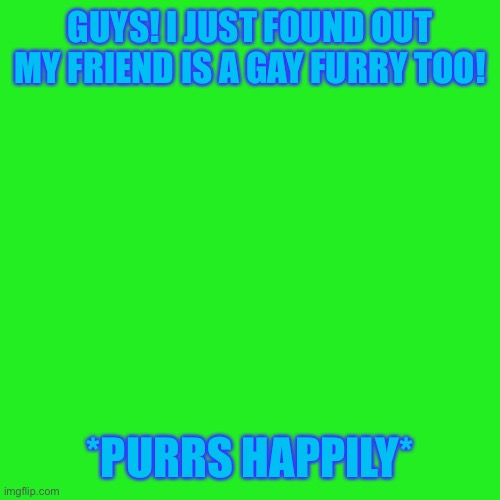 YAY!!! | GUYS! I JUST FOUND OUT MY FRIEND IS A GAY FURRY TOO! *PURRS HAPPILY* | image tagged in memes,blank transparent square | made w/ Imgflip meme maker