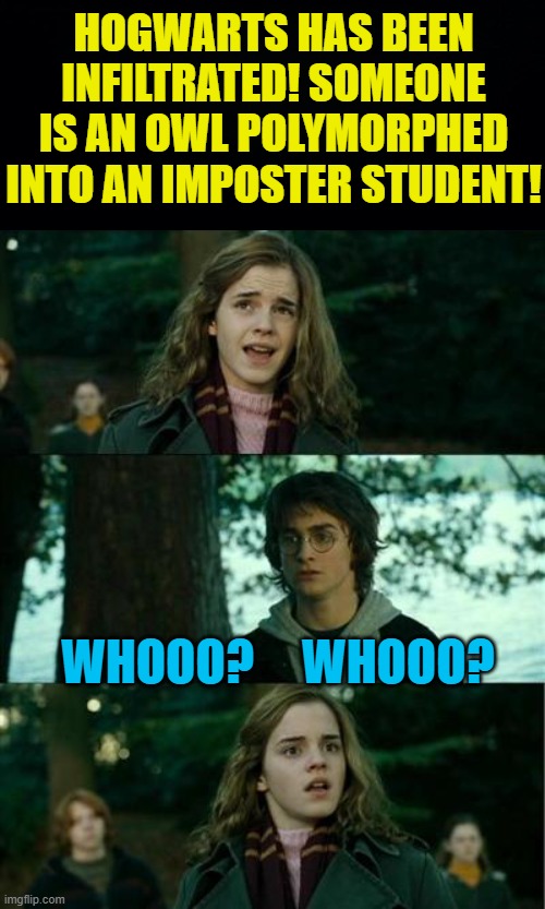 Owl bet Harry knows who! | HOGWARTS HAS BEEN INFILTRATED! SOMEONE IS AN OWL POLYMORPHED INTO AN IMPOSTER STUDENT! WHOOO?     WHOOO? | image tagged in harry hermione,memes | made w/ Imgflip meme maker