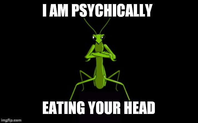 Preying Mantis | I AM PSYCHICALLY EATING YOUR HEAD | image tagged in preying mantis | made w/ Imgflip meme maker