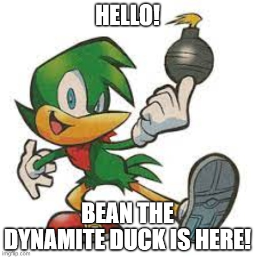 HELLO! BEAN THE DYNAMITE DUCK IS HERE! | image tagged in sonic the hedgehog | made w/ Imgflip meme maker