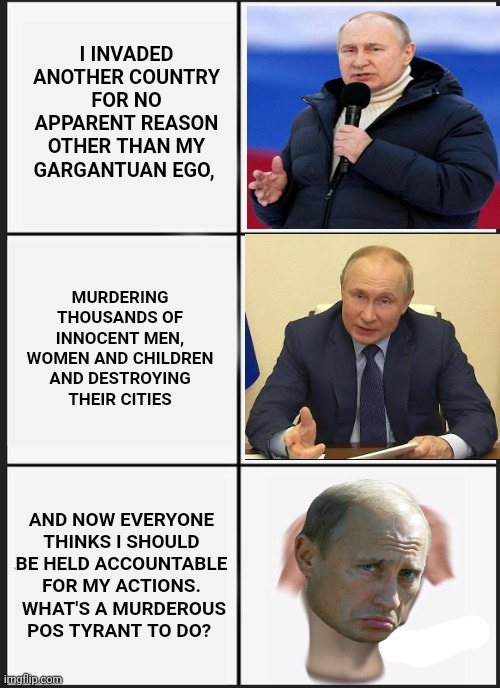 When The World Wishes Your Time On Earth Were Through | I INVADED ANOTHER COUNTRY FOR NO APPARENT REASON OTHER THAN MY GARGANTUAN EGO, MURDERING THOUSANDS OF INNOCENT MEN, WOMEN AND CHILDREN AND DESTROYING THEIR CITIES; AND NOW EVERYONE THINKS I SHOULD BE HELD ACCOUNTABLE FOR MY ACTIONS.  WHAT'S A MURDEROUS POS TYRANT TO DO? | image tagged in memes,panik kalm panik,vladimir putin,die already,the murderer,burn in hell | made w/ Imgflip meme maker