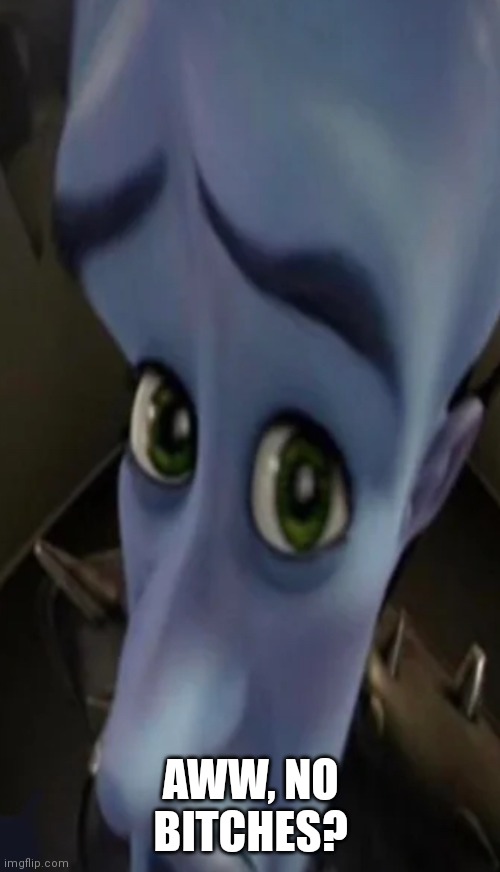 Megamind peeking | AWW, NO BITCHES? | image tagged in no bitches | made w/ Imgflip meme maker
