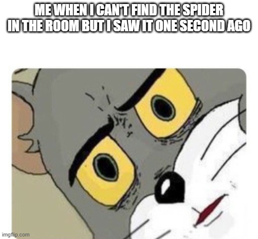 Meme | ME WHEN I CAN'T FIND THE SPIDER IN THE ROOM BUT I SAW IT ONE SECOND AGO | image tagged in shocked tom | made w/ Imgflip meme maker