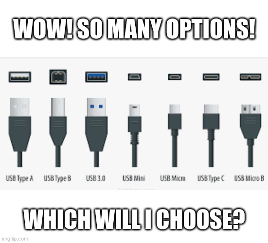 Dos thou understand? | WOW! SO MANY OPTIONS! WHICH WILL I CHOOSE? | image tagged in in plain sight | made w/ Imgflip meme maker