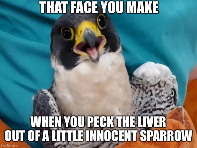 THAT FACE YOU MAKE WHEN YOU PECK THE LIVER OUT OF A LITTLE INNOCENT SPARROW | made w/ Imgflip meme maker