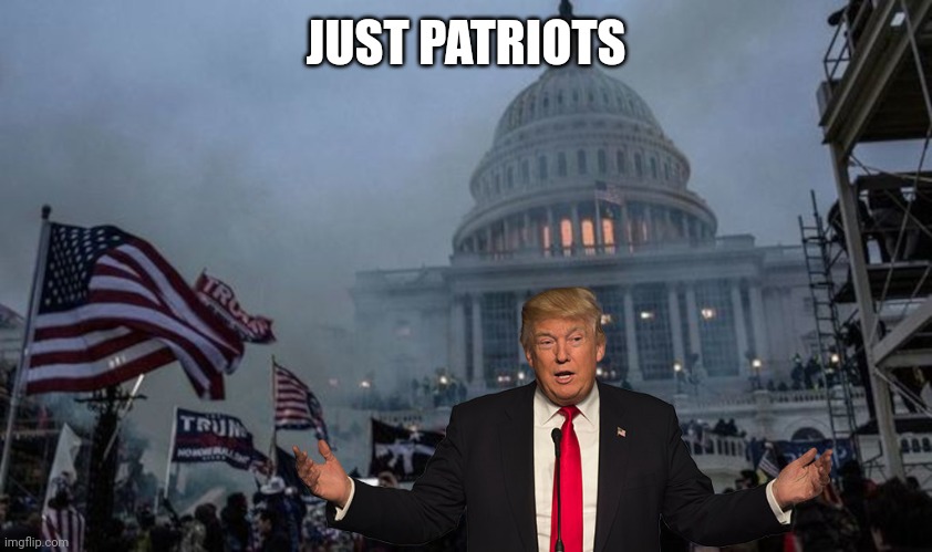 misconstrued coup | JUST PATRIOTS | image tagged in misconstrued coup | made w/ Imgflip meme maker