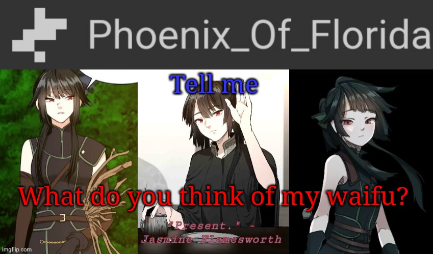 She the girl in the pictures | Tell me; What do you think of my waifu? | image tagged in phoenix's jasmine templet | made w/ Imgflip meme maker