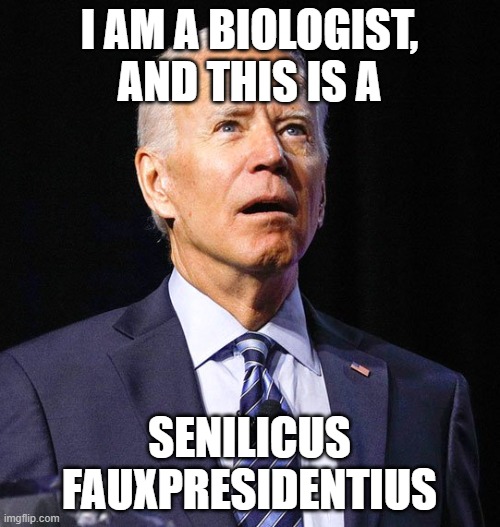Joe Biden | I AM A BIOLOGIST, AND THIS IS A; SENILICUS FAUXPRESIDENTIUS | image tagged in joe biden | made w/ Imgflip meme maker