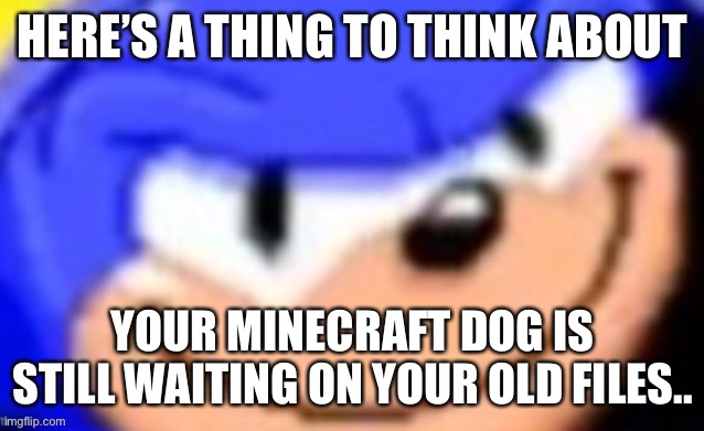 Sonic smile | HERE’S A THING TO THINK ABOUT; YOUR MINECRAFT DOG IS STILL WAITING ON YOUR OLD FILES.. | image tagged in sonic smile | made w/ Imgflip meme maker