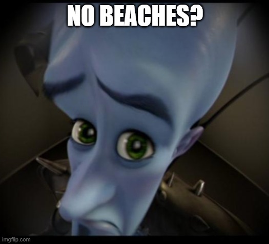 Megamind peeking | NO BEACHES? | image tagged in no bitches | made w/ Imgflip meme maker