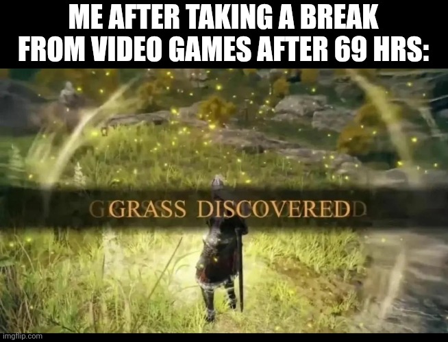  ME AFTER TAKING A BREAK FROM VIDEO GAMES AFTER 69 HRS: | image tagged in grass,video games,roblox,minecraft | made w/ Imgflip meme maker