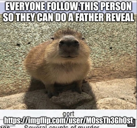 Gort | EVERYONE FOLLOW THIS PERSON SO THEY CAN DO A FATHER REVEAL; https://imgflip.com/user/M0ssTh3Gh0st | image tagged in gort | made w/ Imgflip meme maker