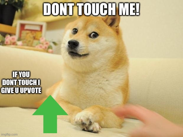 here have 1 :3 |  DONT TOUCH ME! IF YOU DONT TOUCH I GIVE U UPVOTE | image tagged in memes,doge 2 | made w/ Imgflip meme maker