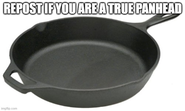 I'll let your shared braincell try to figure this one out on your own | REPOST IF YOU ARE A TRUE PANHEAD | image tagged in cast iron skillet | made w/ Imgflip meme maker