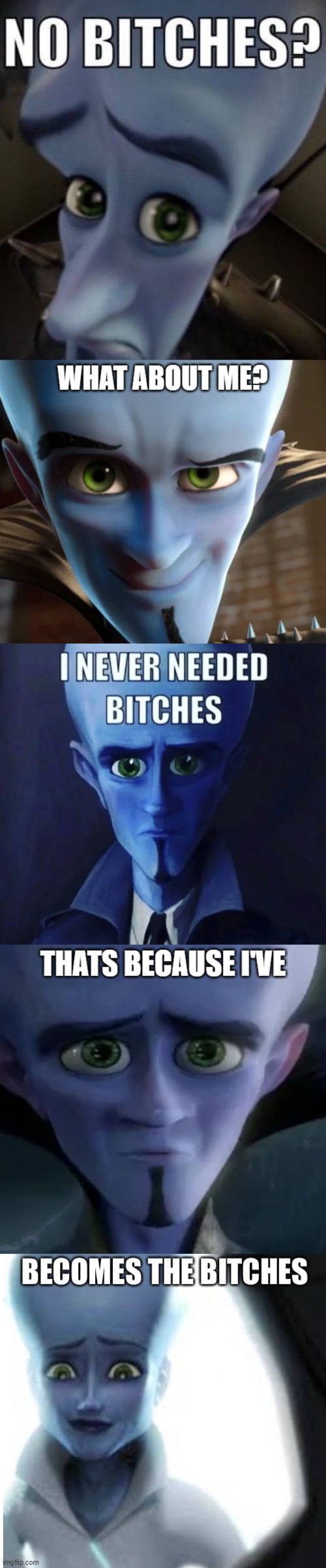 best storyline ever | image tagged in no bitches,megamind | made w/ Imgflip meme maker