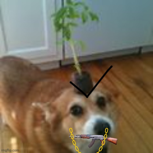 BABY BOI NO- | image tagged in gun | made w/ Imgflip meme maker