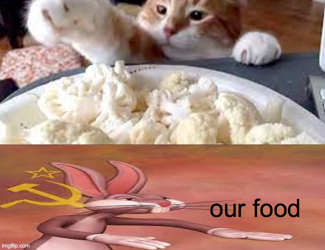I dunno lol |  our food | image tagged in cats,food,communist bugs bunny | made w/ Imgflip meme maker