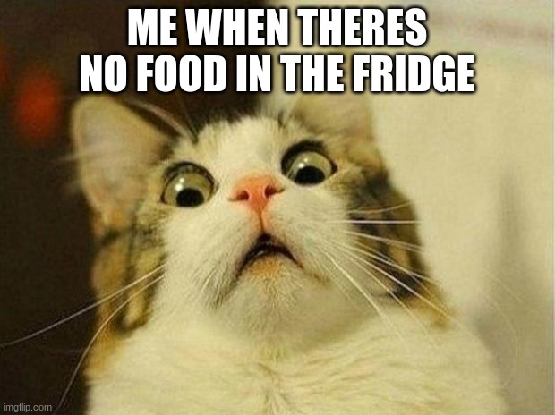 True Facts | ME WHEN THERES NO FOOD IN THE FRIDGE | image tagged in memes,scared cat,facts | made w/ Imgflip meme maker