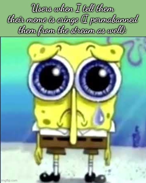 Sad Spongebob | Users when I tell them their meme is cringe (I permabanned them from the stream as well): | image tagged in sad spongebob | made w/ Imgflip meme maker